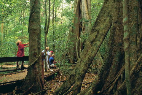 Full Day Small Group Luxury Tour To Tamborine Mountain - Book Restaurant 1