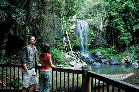 Full Day Small Group Luxury Tour To Tamborine Mountain - Book Restaurant 4