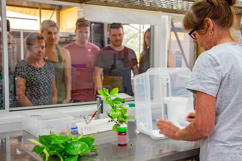 Australian Butterfly Sanctuary - Book Restaurant 5