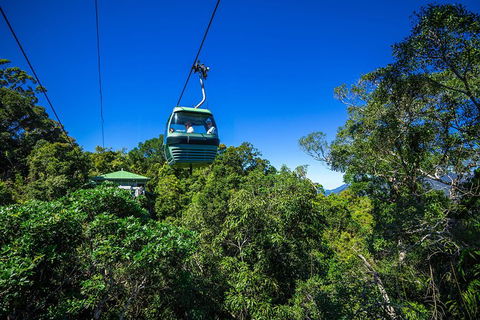 Classic Kuranda By Skyrail And Scenic Railway Including Rainforestation, Koala And Wildlife Park And Pamagirri Aboriginal Experi - Book Restaurant 0