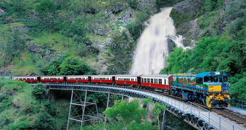 Classic Kuranda By Skyrail And Scenic Railway Including Rainforestation, Koala And Wildlife Park And Pamagirri Aboriginal Experi - Book Restaurant 1