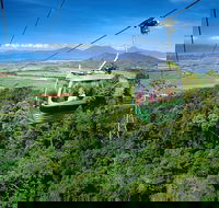 Best of Kuranda Including Skyrail Kuranda Scenic Railway and Rainforestation - Book Restaurant