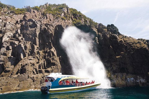 Full-Day Bruny Island Cruises Day Tour From Hobart - Book Restaurant 4