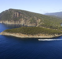 3-Hour Bruny Island Cruise from Adventure Bay Bruny Island - Book Restaurant
