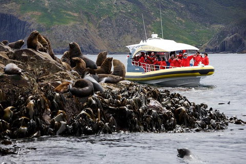 3-Hour Bruny Island Cruise From Adventure Bay, Bruny Island - Book Restaurant 4
