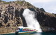 3-Hour Bruny Island Cruise From Adventure Bay, Bruny Island - thumb 5
