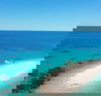 Ocean Safari Great Barrier Reef Experience in Cape Tribulation - Book Restaurant