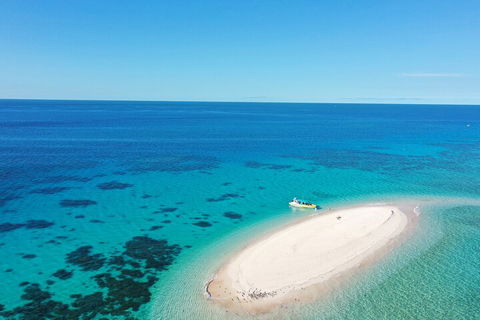 Ocean Safari Great Barrier Reef Experience In Cape Tribulation - Book Restaurant 0
