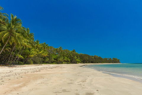 Ocean Safari Great Barrier Reef Experience In Cape Tribulation - Book Restaurant 4