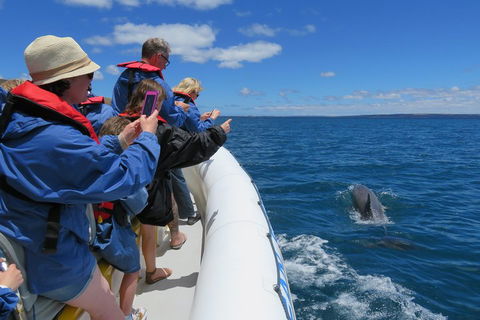 Kangaroo Island 75-Minute Ocean Safari - Book Restaurant 3