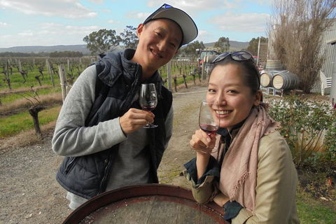 Swan Valley River Cruise And Wine Tasting Day Trip From Perth - Book Restaurant 0