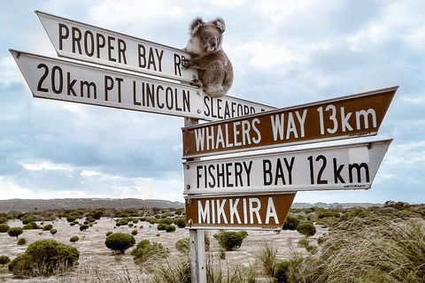One Day Port Lincoln Tour - Tasting Eyre - Book Restaurant 2