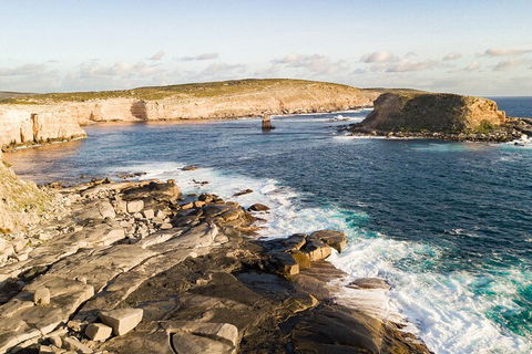 One Day Port Lincoln Tour - Tasting Eyre - Book Restaurant 3
