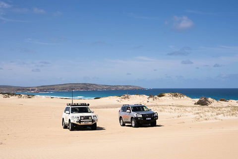3 Day Port Lincoln And Coffin Bay Private Tour - Book Restaurant 0