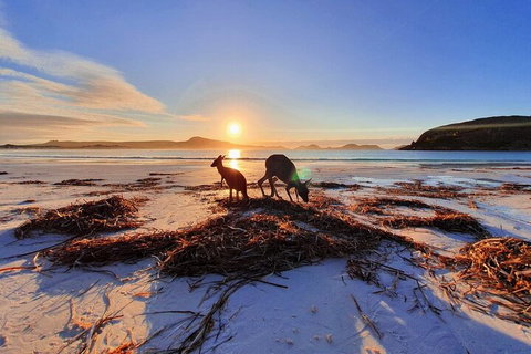 10-Day Perth To Adelaide Adventure Tour - Book Restaurant 1