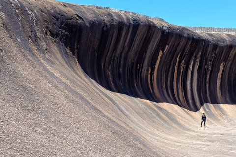 10-Day Perth To Adelaide Adventure Tour - Book Restaurant 3