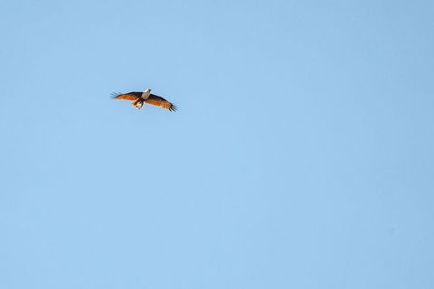 North Stradbroke Island Day Trip From Brisbane - Book Restaurant 4