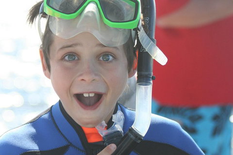 Dolphin Cruise From Adelaide With Optional Dolphin Swim - Book Restaurant 3