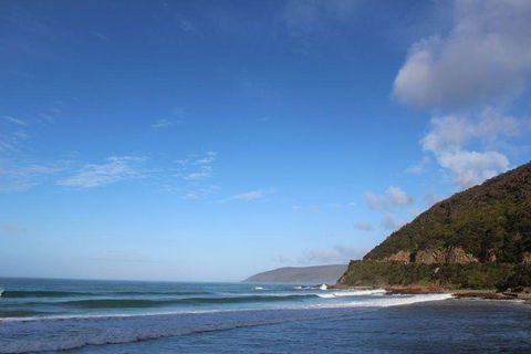 Private Great Ocean Road Day Tour With Early Departure & Early Return (11 Hours) - Book Restaurant 3