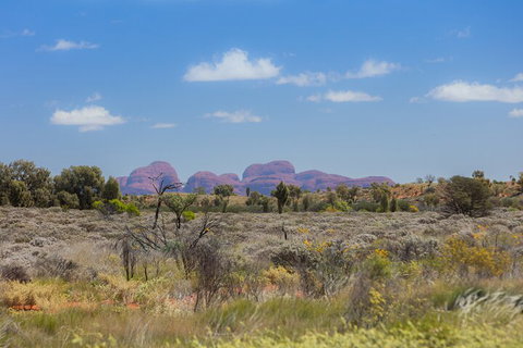 Overnight Uluru (Ayers Rock) Small-Group Camping Tour - Book Restaurant 0