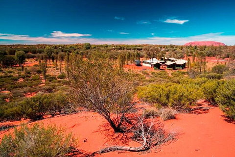 Overnight Uluru (Ayers Rock) Small-Group Camping Tour - Book Restaurant 2