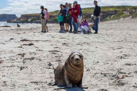 Kangaroo Island In A Day Tour From Adelaide - Book Restaurant 0