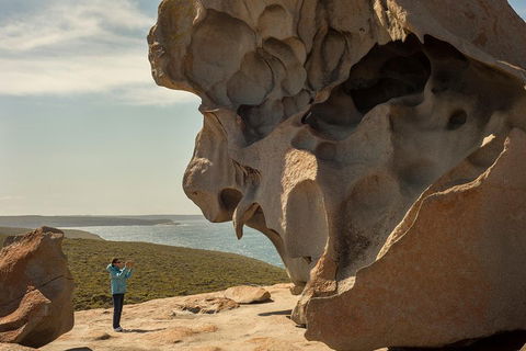 Kangaroo Island In A Day Tour From Adelaide - Book Restaurant 5