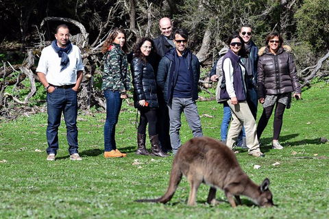 2-Day Kangaroo Island 4WD Small-Group Tour From Adelaide - Book Restaurant 1