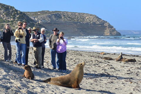 2-Day Kangaroo Island 4WD Small-Group Tour From Adelaide - Book Restaurant 3