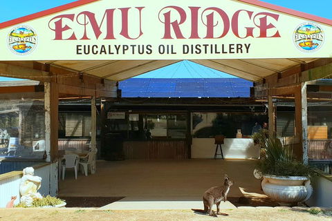 2 Day Ultimate Kangaroo Island With Return Ferry - Book Restaurant 3