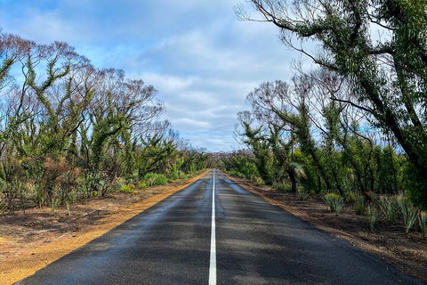2 Day Ultimate Kangaroo Island With Return Ferry - Book Restaurant 4