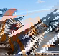 Full-Day Kangaroo Island Experience Departing from Kangaroo Island - Book Restaurant