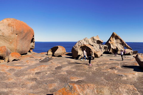 Full-Day Kangaroo Island Experience Departing From Kangaroo Island - Book Restaurant 4