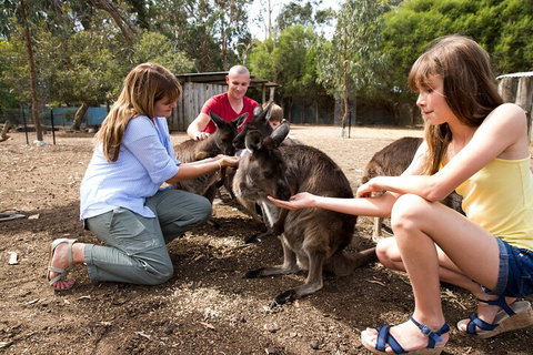 Full-Day Kangaroo Island Experience Departing From Kangaroo Island - Book Restaurant 5
