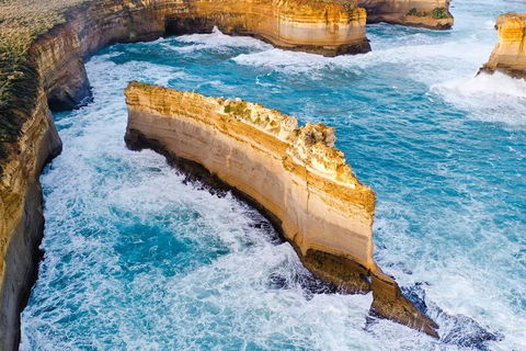 Small-Group Great Ocean Road Day Trip From Melbourne - Book Restaurant 2