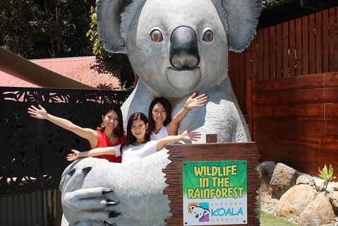 Kuranda Koala Gardens And Birdworld Admission Tickets - Book Restaurant 3