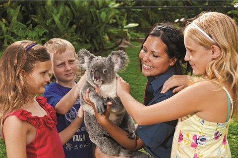 Kuranda Koala Gardens General Entry Ticket - Book Restaurant 0