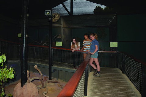 Kuranda Koala Gardens General Entry Ticket - Book Restaurant 2