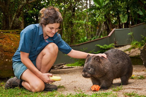Kuranda Koala Gardens General Entry Ticket - Book Restaurant 4