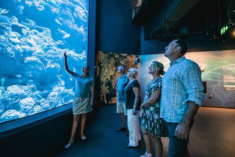 Cairns Aquarium By Twilight With 3-Course Dinner - Book Restaurant 1