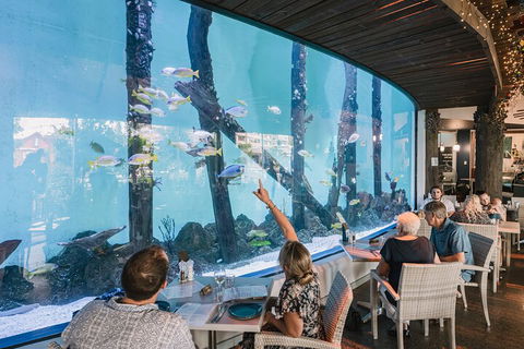 Cairns Aquarium By Twilight With 3-Course Dinner - Book Restaurant 4