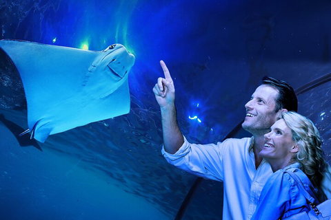Cairns Aquarium Tour By Twilight With Drink And Appetiser - Book Restaurant 4