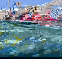 Outer Reef Pontoon Experience from Cairns - Book Restaurant
