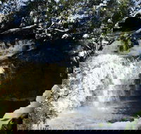 Cradle Mountain Day Tour from Launceston Including Lunch - Book Restaurant