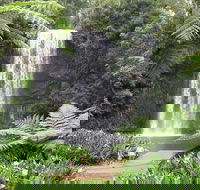 Private Daintree and Cape Tribulation Tour from Port Douglas - Book Restaurant