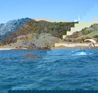 Kayaking with Dolphins in Byron Bay Guided Tour - Book Restaurant