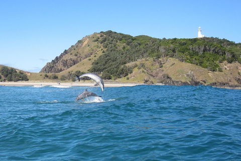 Kayaking With Dolphins In Byron Bay Guided Tour - Book Restaurant 0
