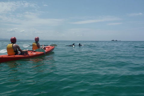Kayaking With Dolphins In Byron Bay Guided Tour - Book Restaurant 4