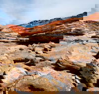 Broome City Sightseeing Tour with Optional Camel Ride - Book Restaurant