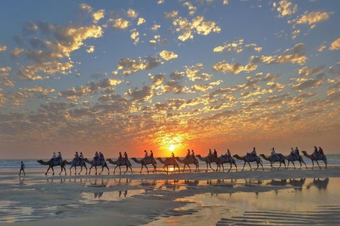 Broome City Sightseeing Tour With Optional Camel Ride - Book Restaurant 1